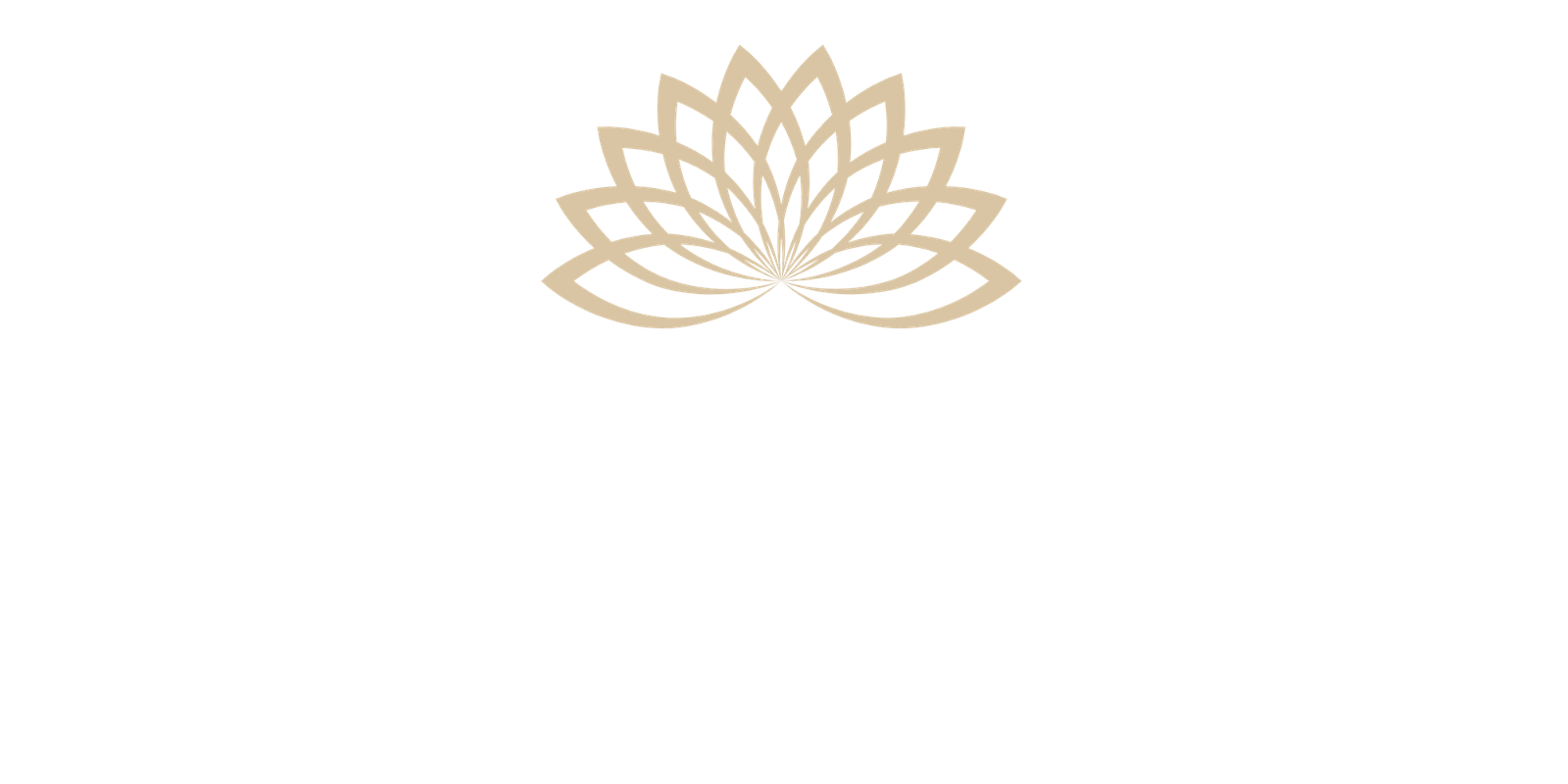 Lotus Investors